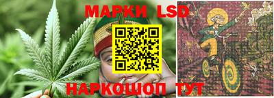 стаф Новокубанск