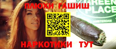 стаф Новокубанск