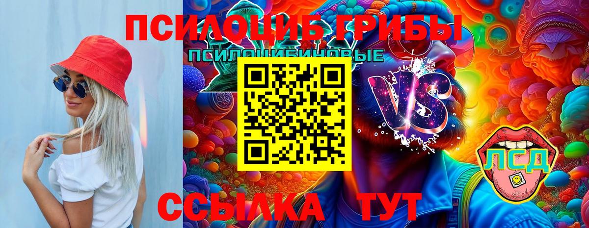 Псилоцибиновые грибы мицелий Сибай