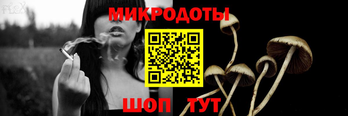 Псилоцибиновые грибы Cubensis  Вход с VPN  Сибай 