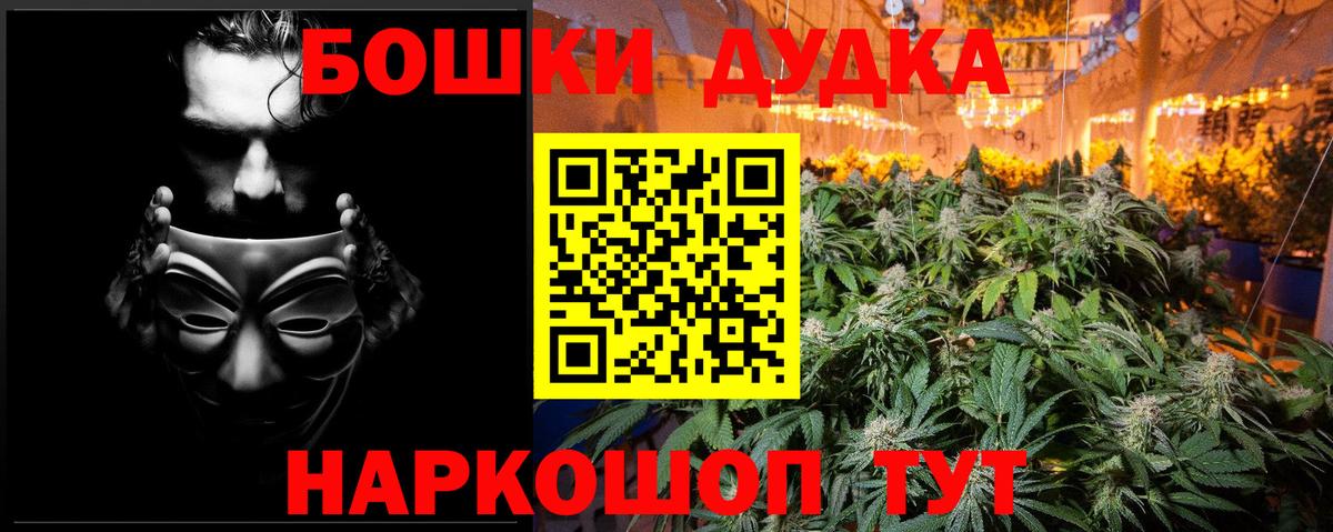 Каннабис сатива Сибай